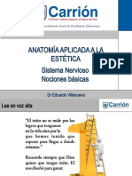 Clase 02 Anatomia Cosmiatria 2019