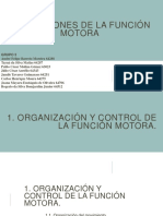 ALTERACIONES DE LA FUNCIÓN MOTORA Tema 3