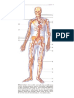 Imagini Corint Vehi PDF