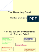 Alimentary Canal 3rd Year