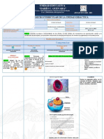 Planificación Microcurricular 1 Parcial Decimo