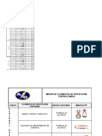 Matriz Epp Epcc