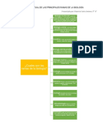 Mapa Conceptual de Las Principales Ramas de La Biología