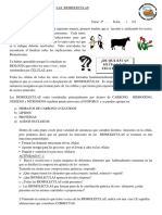 Las Biomoleculas 3° Año. Profe. Jerez Gustavo. Biologia.