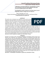 Perbandingan Pertumbuhan Tanaman Porang 86e11679