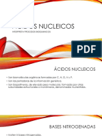 Ácidos Nucleicos