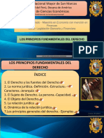 Pricipios Fundamentales Del Derecho