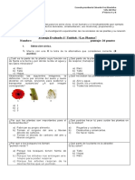 Trabajo Las Plantas