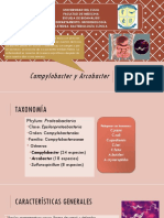 TEMA 12 1 Campylobacter y Arcobacter