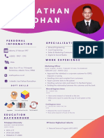 Irza Fathan Ramadhan CV