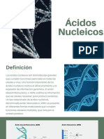 Ácidos Nucleicos