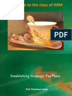 Establishing Strategic Pay Plans