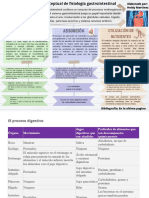 Mapa Conceptual de Fisiología Gastrointestinal