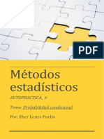 Autopractica 6 