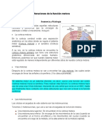 Fisiopato - Alteraciones de La Función Motora