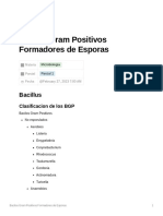 08 - Gram Positivos Formadores de Esporas