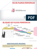 Bloqueo de Plexos Perifericos