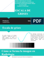 La Escala de Grises 3