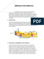 La Membrana Citoplasmatica