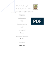 Tarea 2-1P - Clasificacion de Nano o Wan 