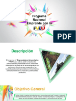 Programa de Emprendimieto FVEU