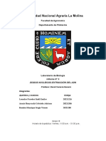 Biología General UNALM - Informe 5 ÁCIDOS NUCLEICOS-EXTRACCIÓN DEL ADN