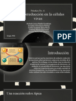 Seminario Practica 6