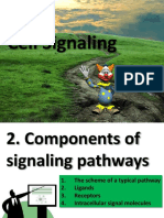 Cell Signaling - The Components of Signaling Pathways