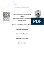 Cuestionario NUCLEOTIDOS2