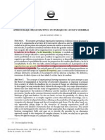 Aprendizaje Organizativo Un Paisaje de Luces y Sombras