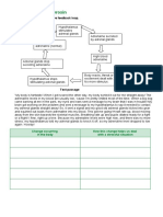 Negative Feedback Thyroxine and Adrenelin Ws