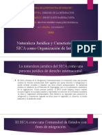 Naturaleza Jurídica y Características Del SICA Como Organización