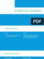 Unstable Cervical Injuries