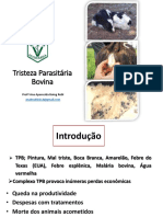 Tristeza Parasitária Bovina