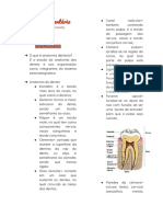 Anatomia Dentária