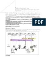 Resumen Cymat 2 Cuatri