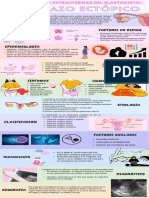 Infografia 3