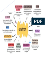 Genética: Fenotipo Herencia Ligada Al Sexo Locus Leyes Del Mendel