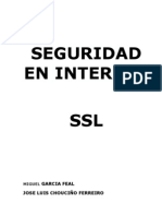 Seguridad Ssl. en Internet