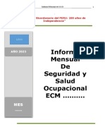 Modelo de Informe de Sso Ecm