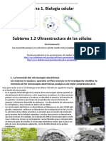 1 - 02 - Ultraestructura de Las Células