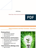 Edexcel Topic - Plant Structures and Their Functions: GCSE Biology