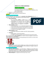 Hernias de La Pared Abdominal