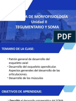 Cátedra de Morfofisiología Unidad II: Tegumentario Y Soma