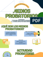 Medios Probatorios