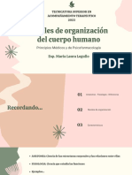 Niveles de Organización Del Cuerpo Humano: Tecnicatura Superior en Acompañamiento Terapeutico 2023