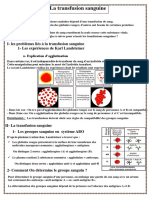 Transfusion Sanguine