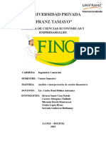 Informe Final Fino H5 PDF