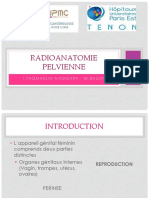 4 ITN Radio Anatomie Pelvienne Et Mammaire 2016 PDF