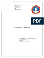 Actividad 1 Derecho Ambiental